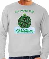 Wiet kerstbal sweater foute kersttrui all i want for christmas grijs voor man